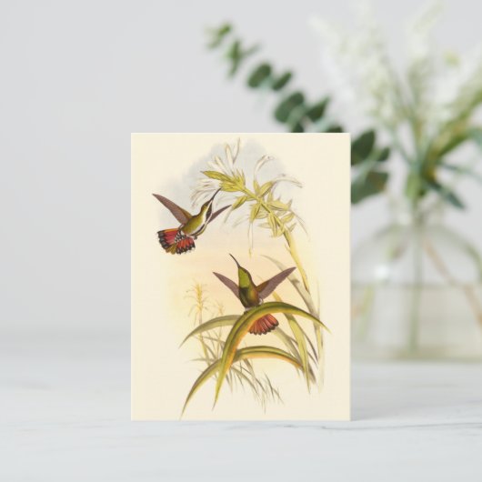 Twee kleurige Hummingvogels die op dezelfde bloem Briefkaart (Staand voorkant)