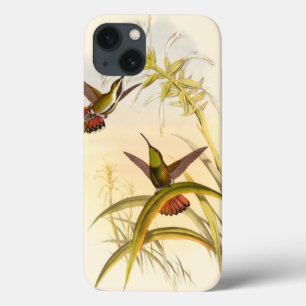 Twee kleurige Hummingvogels die op dezelfde bloem  iPhone 13 Hoesje