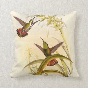 Twee kleurige Hummingvogels die op dezelfde trap w Kussen