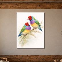 Twee Kleurrijke Gouldian Vinken