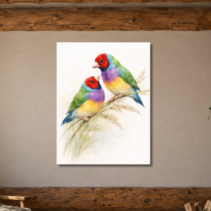 Twee Kleurrijke Gouldian Vinken Poster