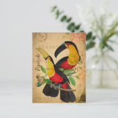 twee kleurrijke vogelsoorten, Frans Briefkaart (Staand voorkant)