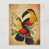 twee kleurrijke vogelsoorten, Frans Briefkaart (Voorkant)