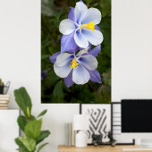 Twee kolommen poster (Thuiskantoor)