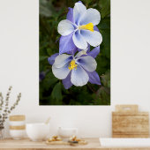 Twee kolommen poster (Keuken)