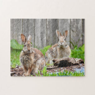 Twee konijnen legpuzzel