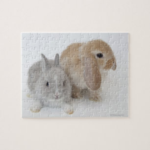 Twee konijnen. Nederland Dwarf en Holland Lop. Legpuzzel