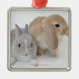 Twee konijnen. Nederland Dwarf en Holland Lop. Metalen Ornament