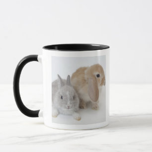 Twee konijnen. Nederland Dwarf en Holland Lop. Mok