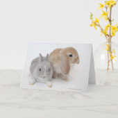 Twee konijnen | Nederland Dwerg & Holland Lop Kaart (Gele Bloem)