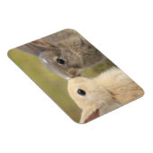 Twee konijntjes kussen rechthoek magneet (Rechterzijde)