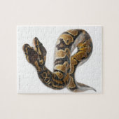 Twee kopende Koninklijke Python of Ball Python - P Legpuzzel (Horizontaal)