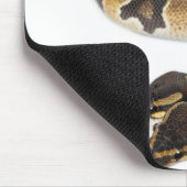 Twee kopende Koninklijke Python of Ball Python - P Muismat (Hoek)