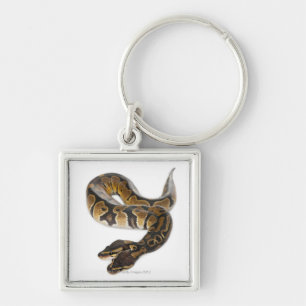Twee kopende Koninklijke Python of Ball Python - P Sleutelhanger