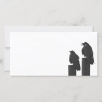 Twee kraaien op berichten