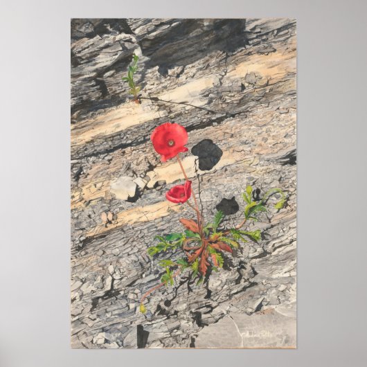 Twee kreukjes poster (Voorkant)