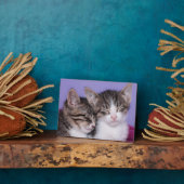 Twee Kute Kittens Napping Fotoplaat (Zijkant)