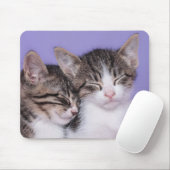 Twee Kute Kittens Napping Muismat (Met muis)