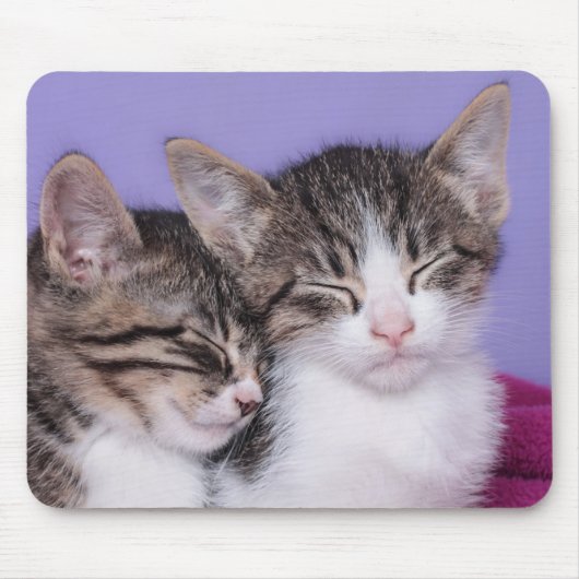Twee Kute Kittens Napping Muismat (Voorkant)