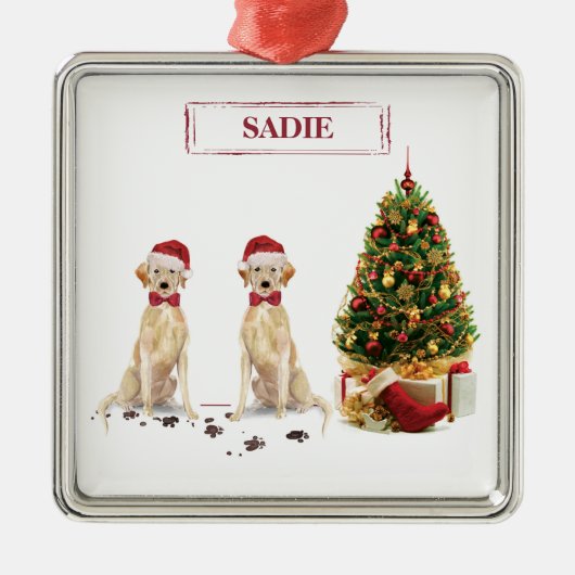 Twee Labrador Retrievers Funny Kersthond Metalen Ornament (Voorkant)