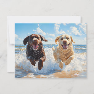 Twee Labrador Retrievers op het strand Briefkaart