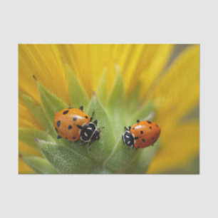 Twee Lady Bugs op een zonnebloempapier Tissuepapier