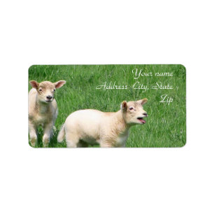 Twee lammeren etiket