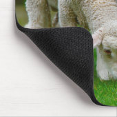 Twee lammeren grazen muismat (Hoek)