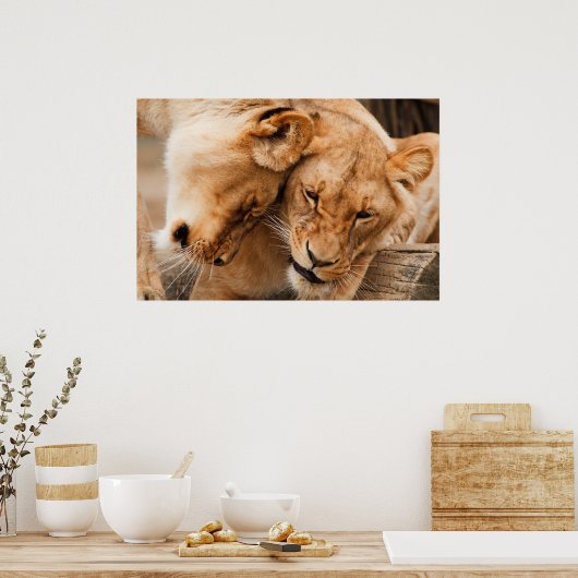 Twee leeuwen poster (Keuken)