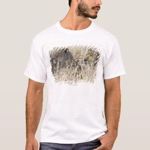Twee leeuwen verborgen in droog gras, Kruger Natio T-shirt