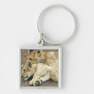 Twee leeuwenkubs spelen. sleutelhanger