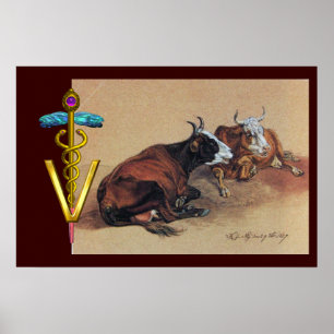 TWEE LIGGENDE KOEIEN GOUDEN CADUCEUS VETERINAIR SY POSTER