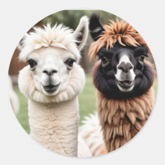Twee Llama's Ronde Sticker
