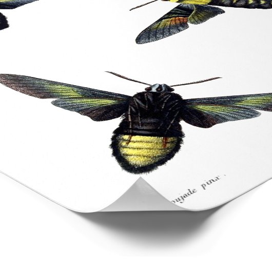 Twee maanden poster (Hoek)