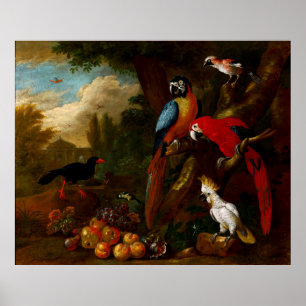 Twee Macaws a Cockato en een Jay met Fruit Poster