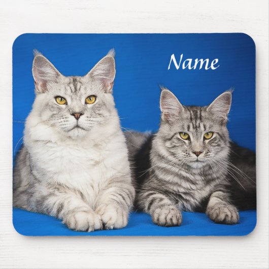 Twee Maine Coon Katten Blauw Mousepad Muismat (Voorkant)