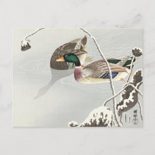 Twee Mallards in de buurt van een met sneeuw bedek Briefkaart