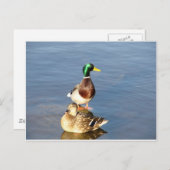 Twee malletjes briefkaart (Voorkant / Achterkant)