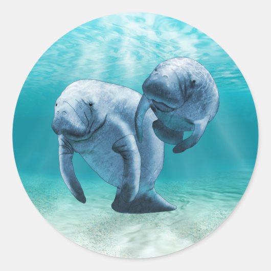 Twee Manatees die zwemmen Ronde Sticker (Voorkant)
