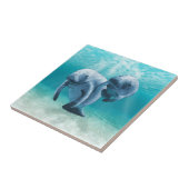 Twee Manatees die zwemmen Tegeltje (Zijkant)