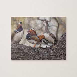 Twee mannetjes die vechten om een vrouwelijke mand legpuzzel