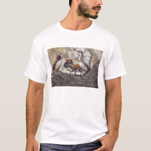 Twee mannetjes die vechten om een vrouwelijke mand t-shirt