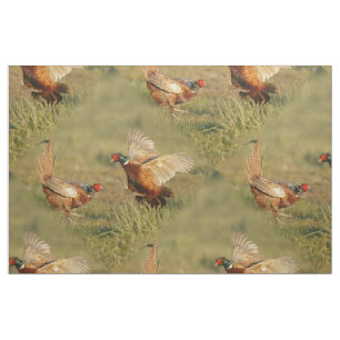 Twee mannetjes die vechten. stof