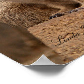 Twee Meerkat Canvas afdrukken Poster (Hoek)