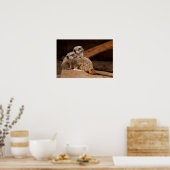 Twee Meerkat Canvas afdrukken Poster (Keuken)