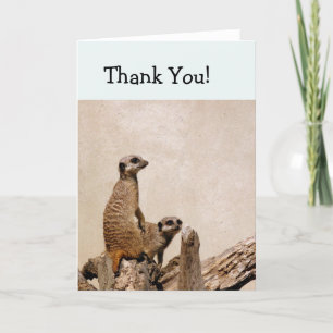 Twee Meerkats dank je wel kaart