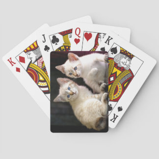 Twee Mekong Bobtail Tabby Point Kittens Pokerkaarten