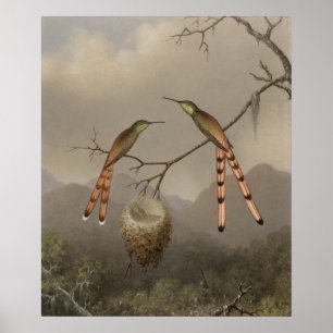 Twee mensvogels met hun jongen poster