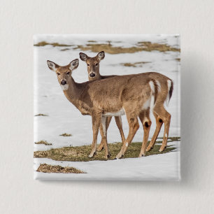 Twee met witte staart op alarm vierkante button 5,1 cm