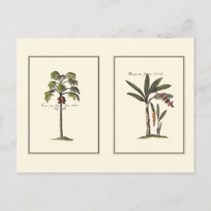 Twee miniaturen met palmbomen briefkaart
